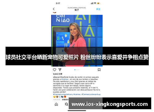球员社交平台晒新宠物可爱照片 粉丝纷纷表示喜爱并争相点赞