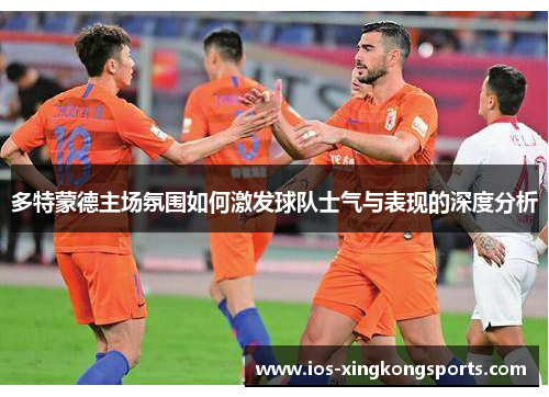 多特蒙德主场氛围如何激发球队士气与表现的深度分析