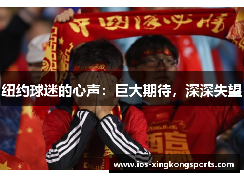 纽约球迷的心声：巨大期待，深深失望