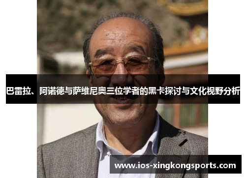 巴雷拉、阿诺德与萨维尼奥三位学者的黑卡探讨与文化视野分析