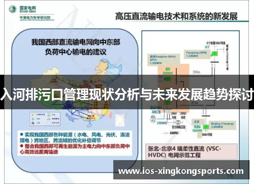 入河排污口管理现状分析与未来发展趋势探讨