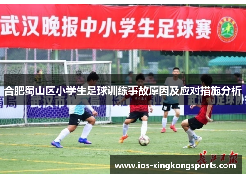 合肥蜀山区小学生足球训练事故原因及应对措施分析